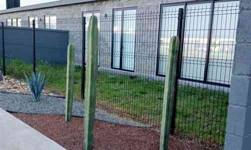 departamento en renta paseo de las pitahayas zibata zona cactus el marques queretaro pjozfts
