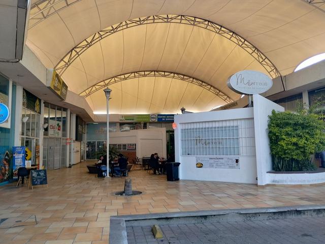 Foto de la galeria de imagenes